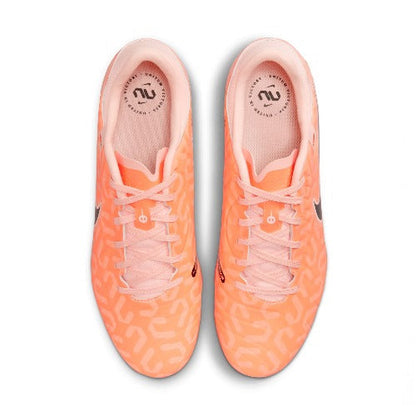 Nike Mens Tiempo Legend 10 Academy FG